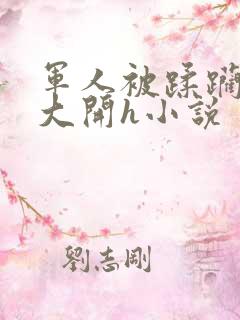 军人被蹂躏双腿大开h小说