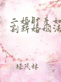 二婚财产如何分割新婚姻法律规定