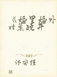 《婚里婚外》txt叶晓井