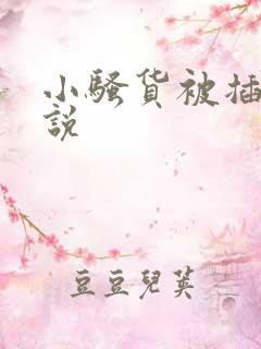 小骚货被插入小说