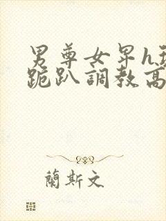 男尊女卑h玩弄跪趴调教高h1v2