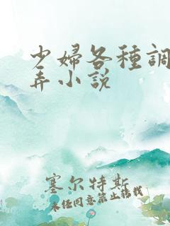 少妇各种调教玩弄小说