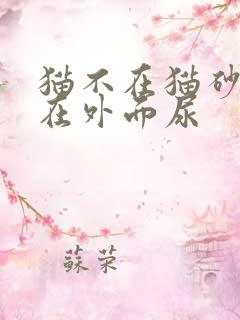 猫不在猫砂尿老在外面尿