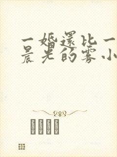 一婚还比一婚高晨光的雾小说