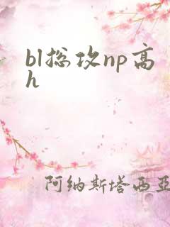 bl总攻np高h
