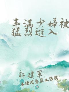 丰满少妇被黑人猛烈进入