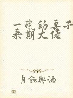 一我的妻子是大乘期大佬