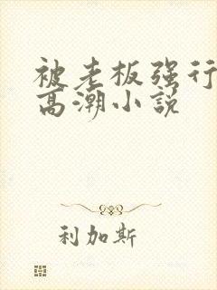 被老板强行c到高潮小说