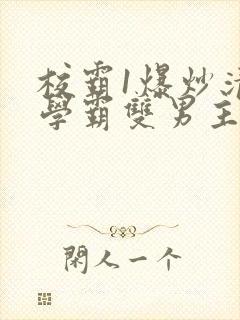 校霸1爆炒清冷学霸双男主