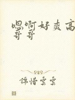 嗯啊好爽高潮了哥哥