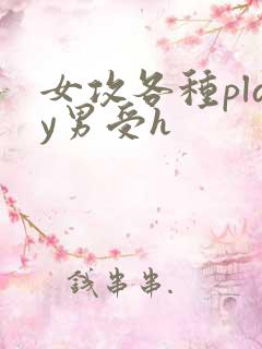 女攻各种play男受h