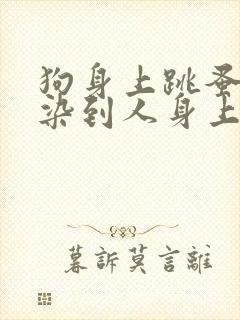 狗身上跳蚤会传染到人身上吗