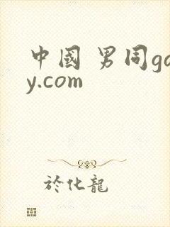 中国 男同gay.com