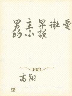 男主卑微爱女主的小说