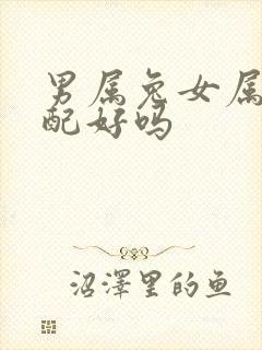 男属兔女属龙婚配好吗