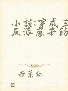 小说:穿成三个反派崽子的后娘怎么办