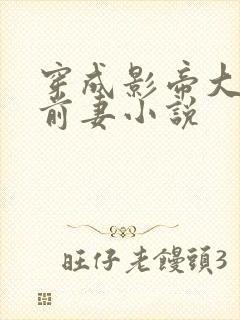 穿成影帝大佬的前妻小说