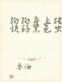 狗狗身上爬的很快的黑色虫子