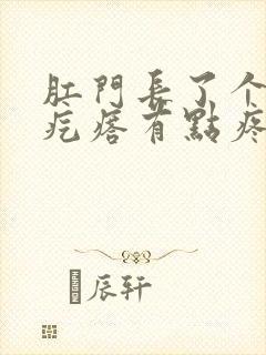 肛门长了个硬的疙瘩有点疼