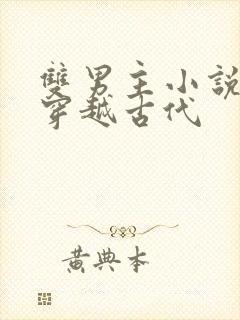 双男主小说推荐穿越古代