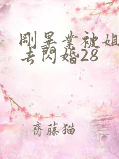 刚毕业被姐姐拉去闪婚28