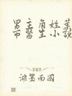 男主角姓叶的都市医生小说