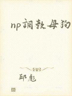 np调教母狗