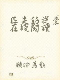 匹夫的逆袭小说在线阅读