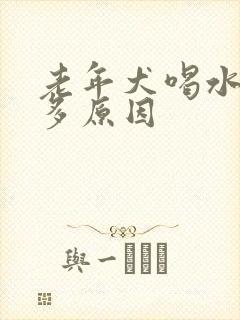 老年犬喝水多尿多原因