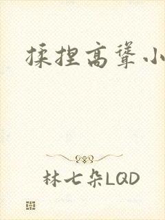 揉捏高耸小说