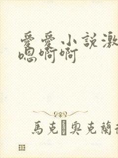 爱爱小说激情嗯嗯啊啊