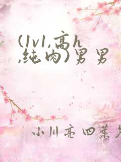 (1v1,高h,纯肉)男男