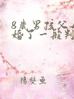 8岁男孩父母离婚了一般判给谁