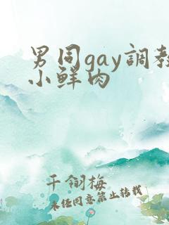 男同gay调教小鲜肉