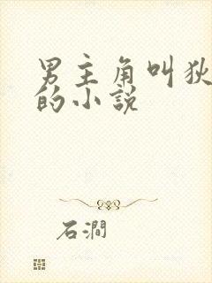 男主角叫狄什么的小说