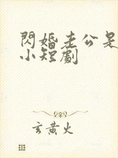 闪婚老公是豪门小短剧