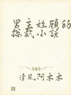 男主姓顾的现代总裁小说