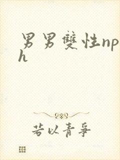 男男双性np高h