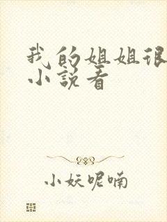 我的姐姐很弟控小说看