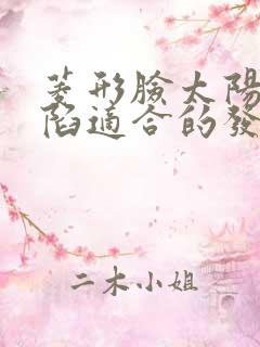 菱形脸太阳穴凹陷适合的发型