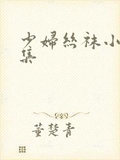 少妇丝袜小说合集