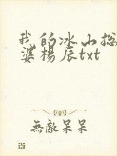 我的冰山总裁老婆杨辰txt