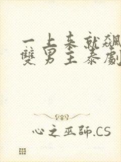 一上来就飙车的双男主泰剧