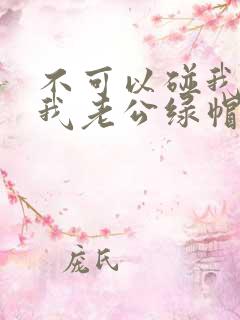 不可以碰我我给我老公绿帽子操坏后小说