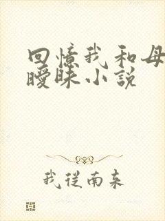 回忆我和母亲的暧昧小说