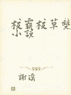 校霸校草双男主小说