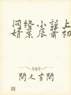 网络小说上门龙婿叶辰萧初然