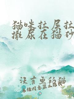 猫咪拉屎拉外面撒尿在猫砂盆里为什么