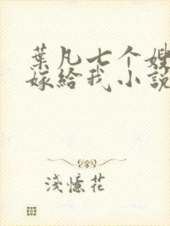 叶凡七个嫂子要嫁给我小说