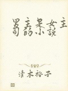 男主是女主的上司的小说